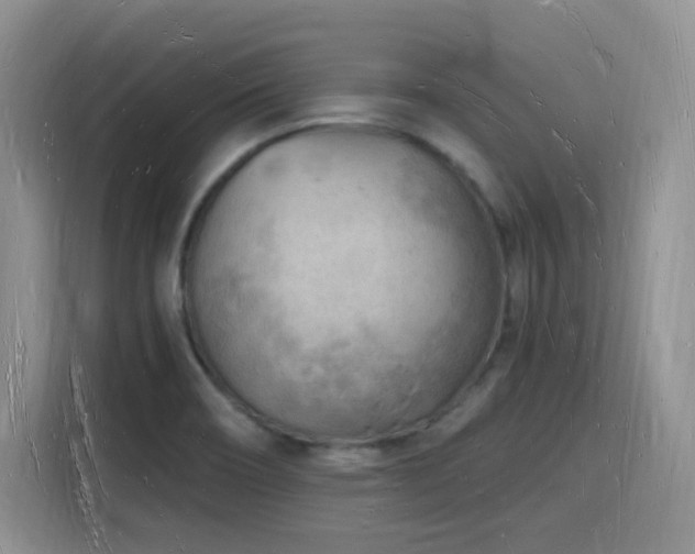X0000116131466200911231225