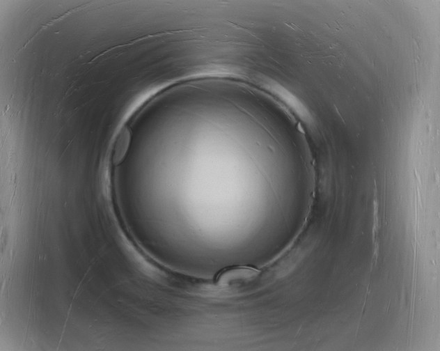 X0000116131468200911231225