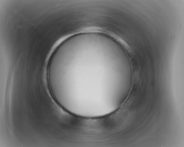 X0000116131470200911231225