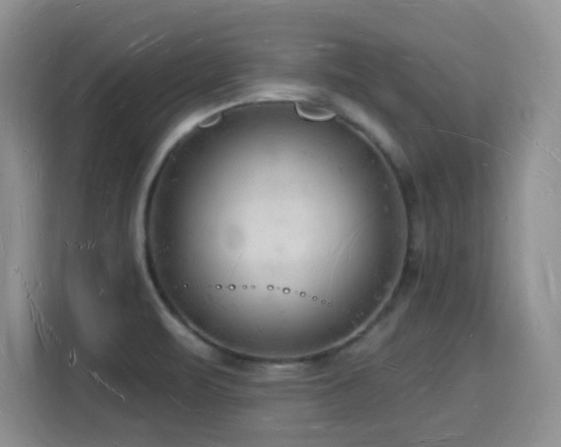 X0000116131471200911231225