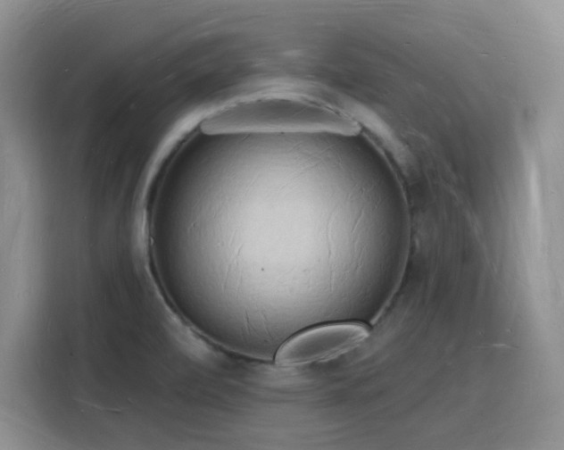 X0000116131472200911231225