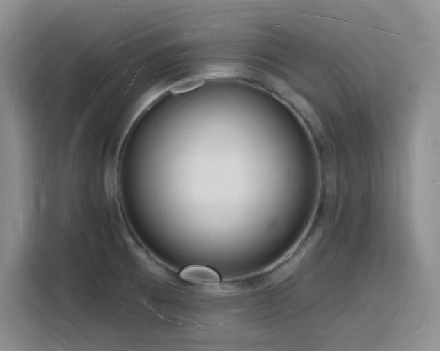 X0000116131473200911231225