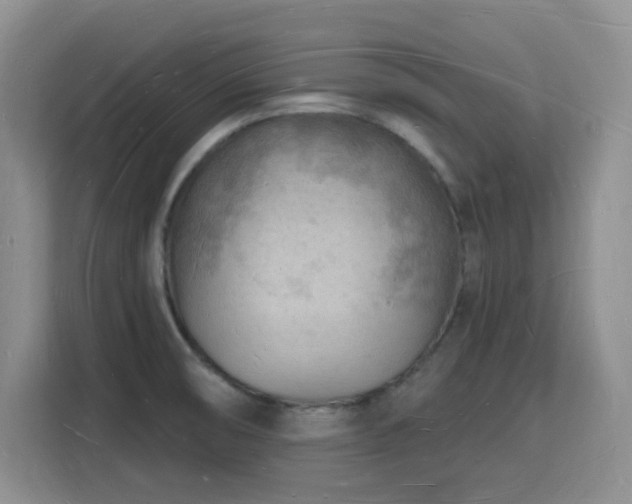 X0000116131474200911231225