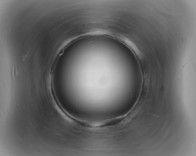 X0000116131476200911231225