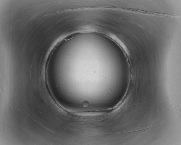 X0000116131477200911231225