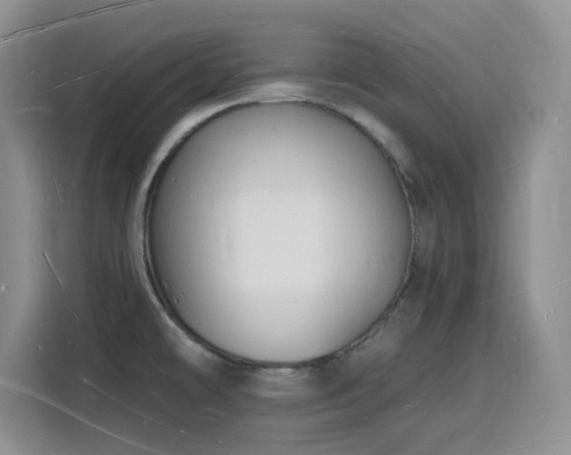 X0000116131478200911231225