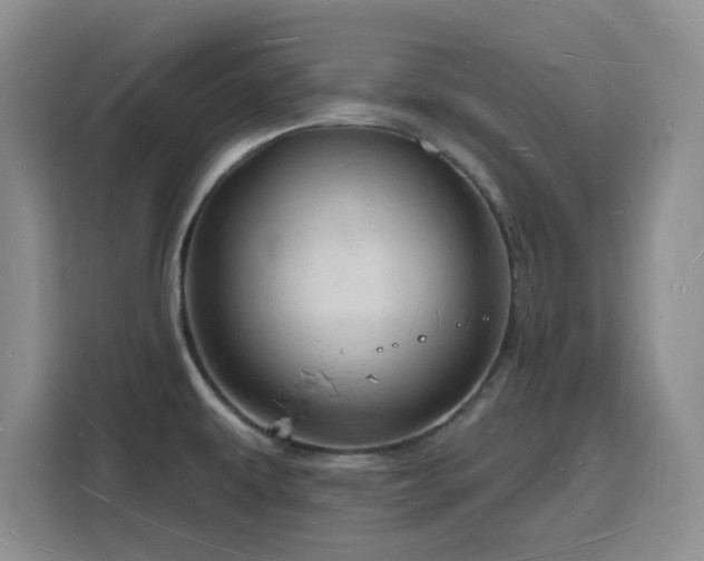 X0000116131479200911231225