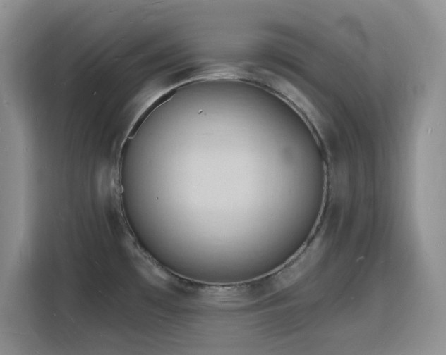 X0000116131481200911231225