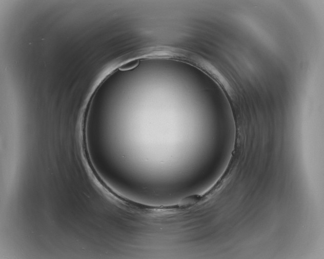X0000116131483200911231225