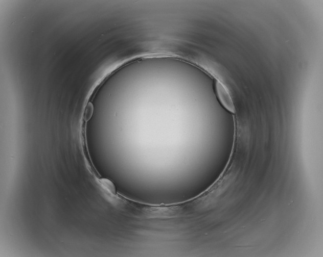 X0000116131485200911231225