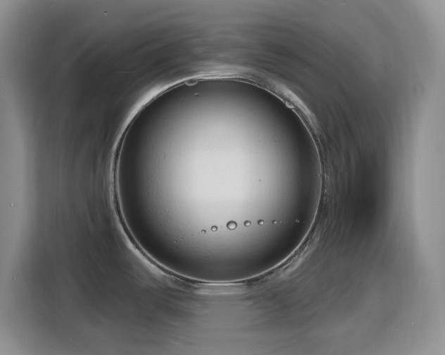 X0000116131487200911231225
