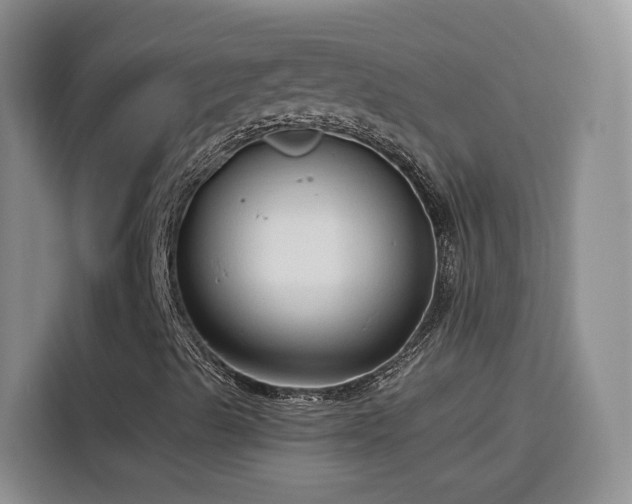 X0000116131489200911231224