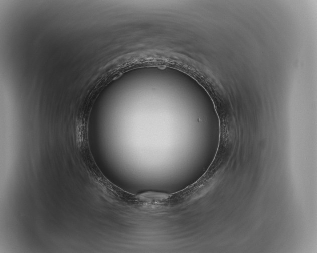 X0000116131490200911231224