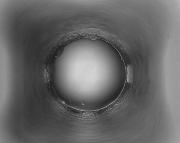 X0000116131491200911231224