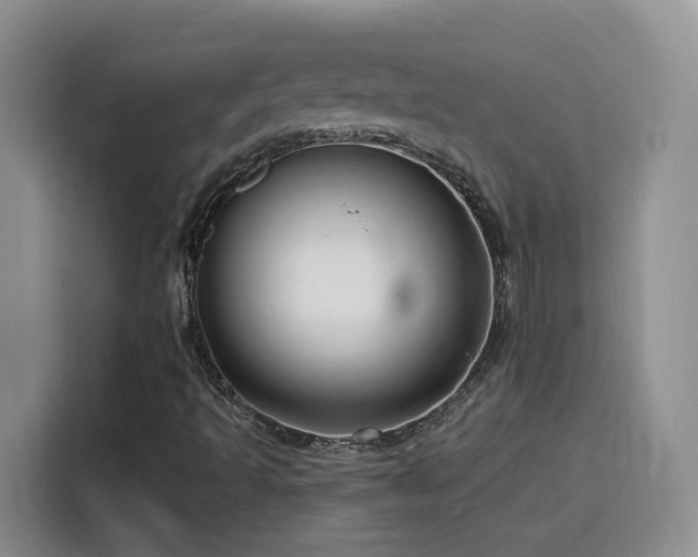 X0000116131493200911231224
