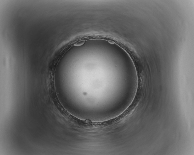 X0000116131494200911231224