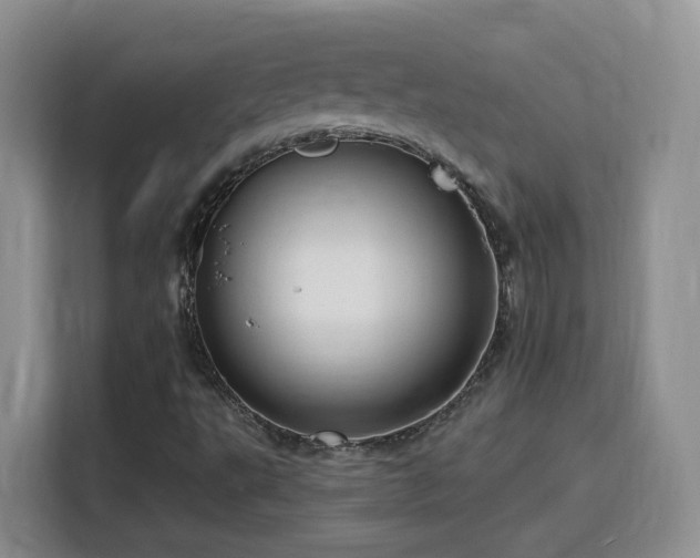 X0000116131495200911231224