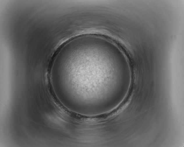 X0000116131497200911231224