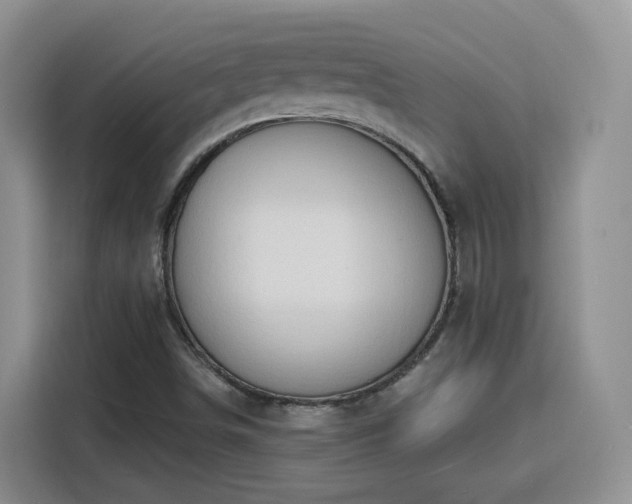 X0000116131498200911231225