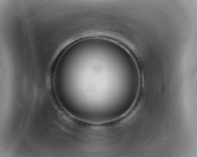 X0000116131501200911231225