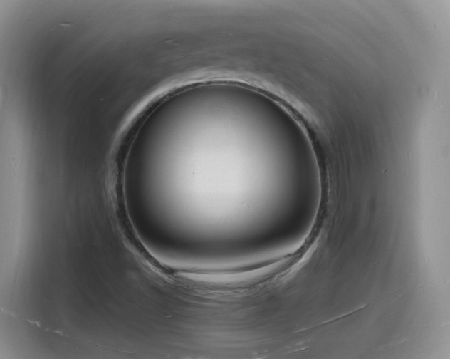 X0000116131502200911231225