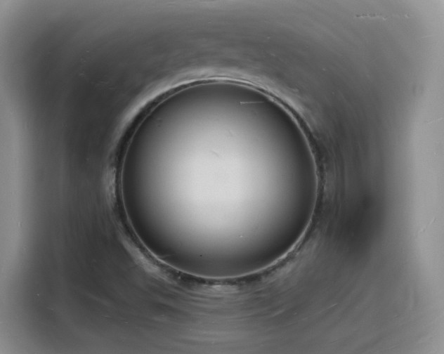 X0000116131503200911231225