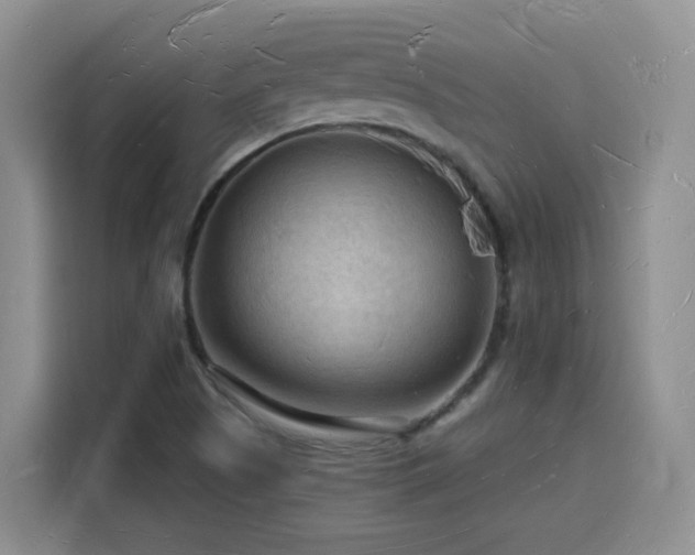 X0000116131505200911231225