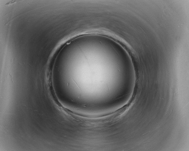 X0000116131506200911231225