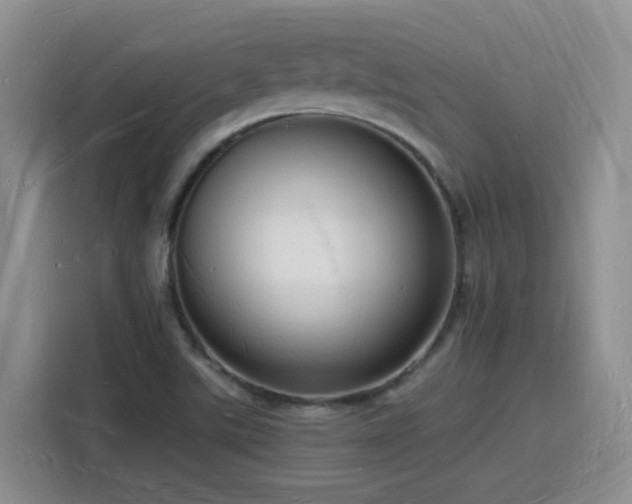X0000116131507200911231225