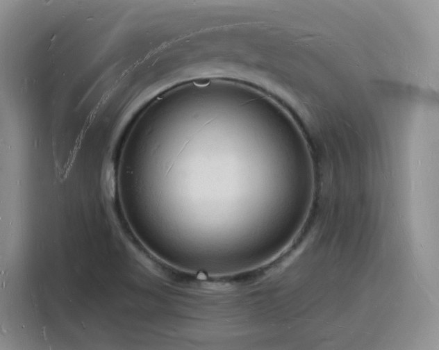 X0000116131509200911231225