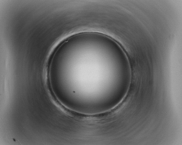 X0000116131511200911231225