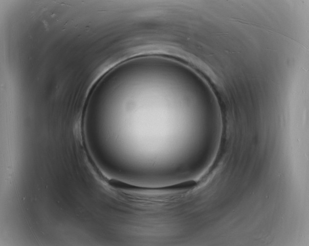 X0000116131513200911231225