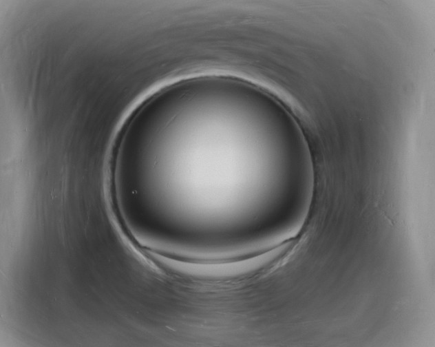 X0000116131518200911231225