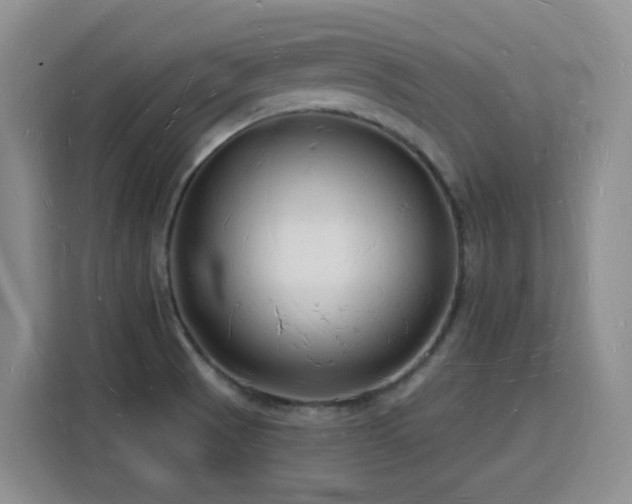 X0000116131521200911231225