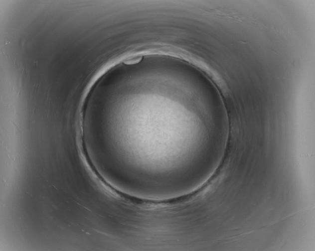 X0000116131522200911231225