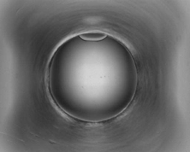X0000116131526200911231225