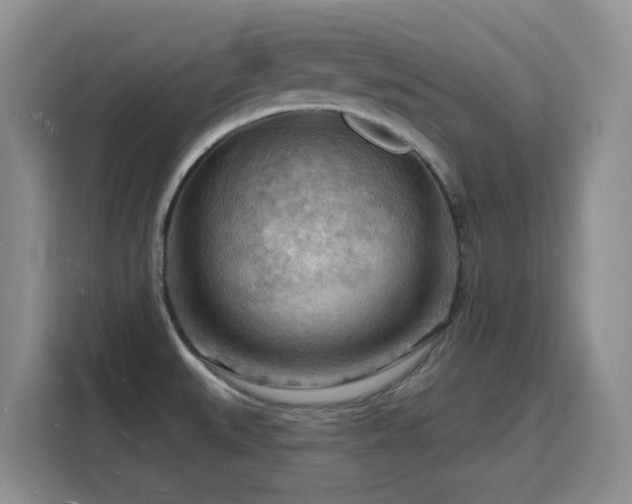 X0000116131527200911231225