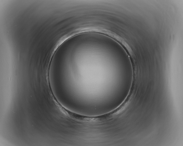 X0000116131529200911231225