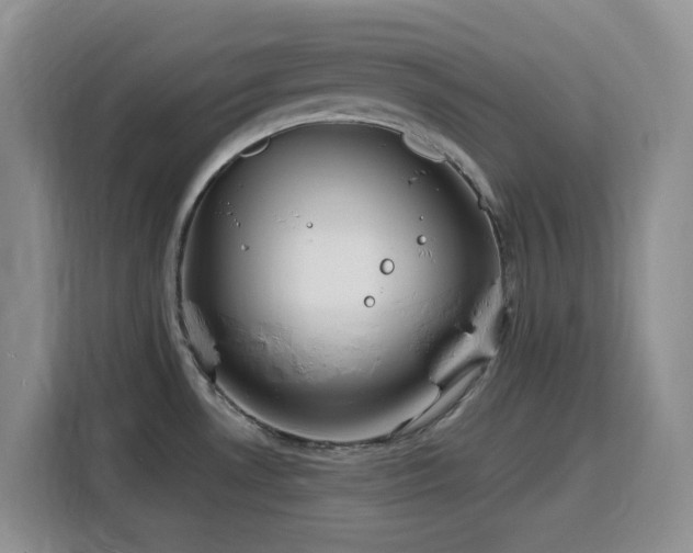 X0000116131530200911231225