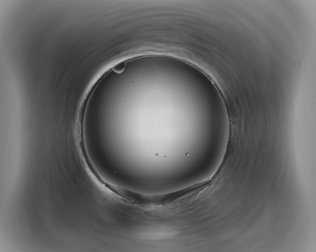 X0000116131531200911231225