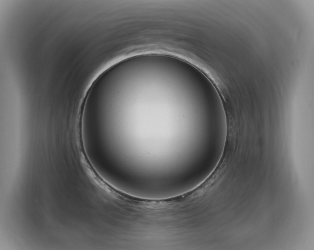X0000116131534200911231225