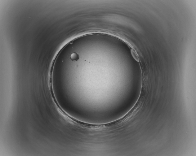 X0000116131535200911231225