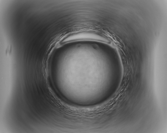 X0000116130002200911301356