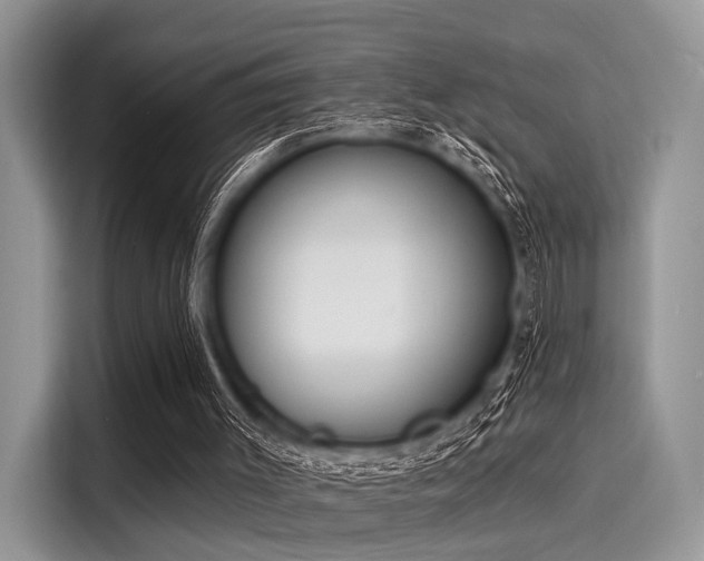 X0000116130003200911301356