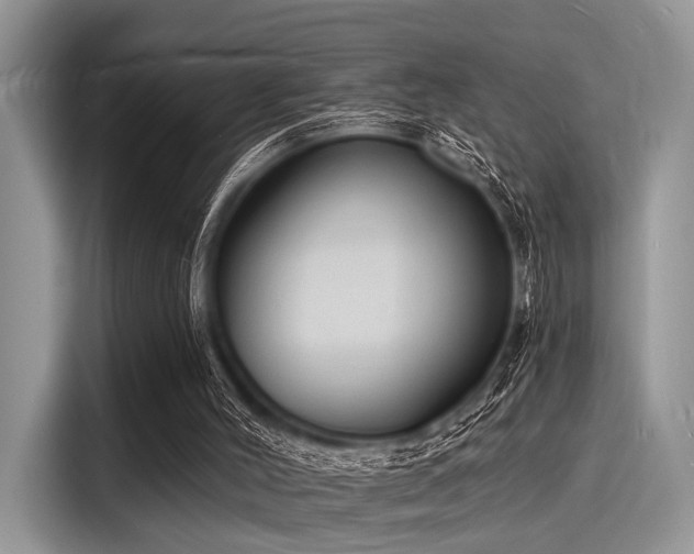 X0000116130004200911301356