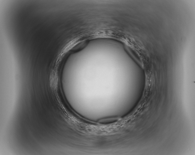 X0000116130005200911301356