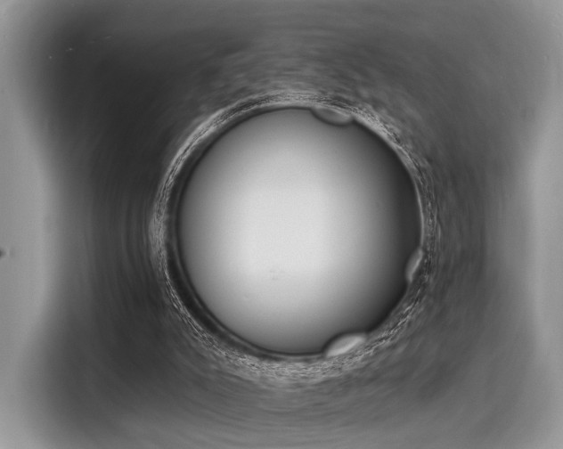 X0000116130007200911301356