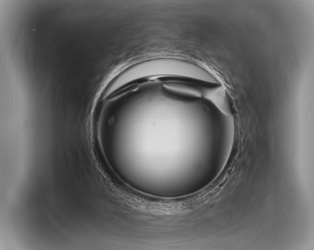 X0000116130008200911301356
