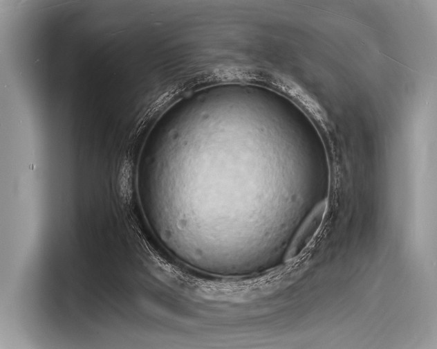 X0000116130009200911301356