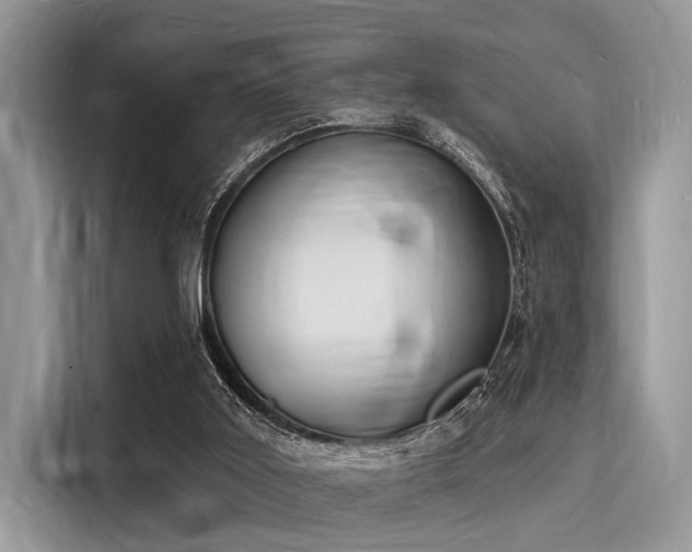 X0000116130011200911301356